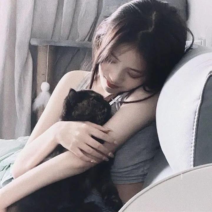 恋恋飞翔