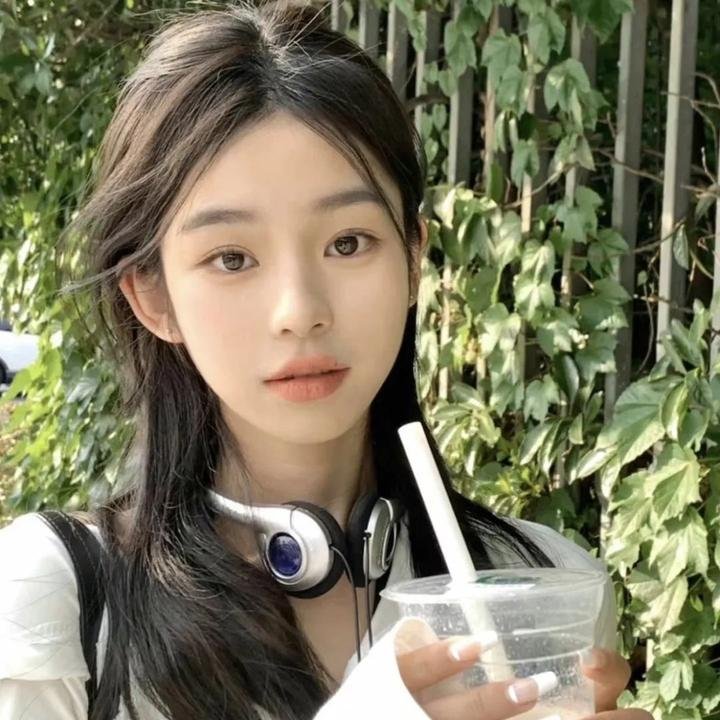 几度菊花香